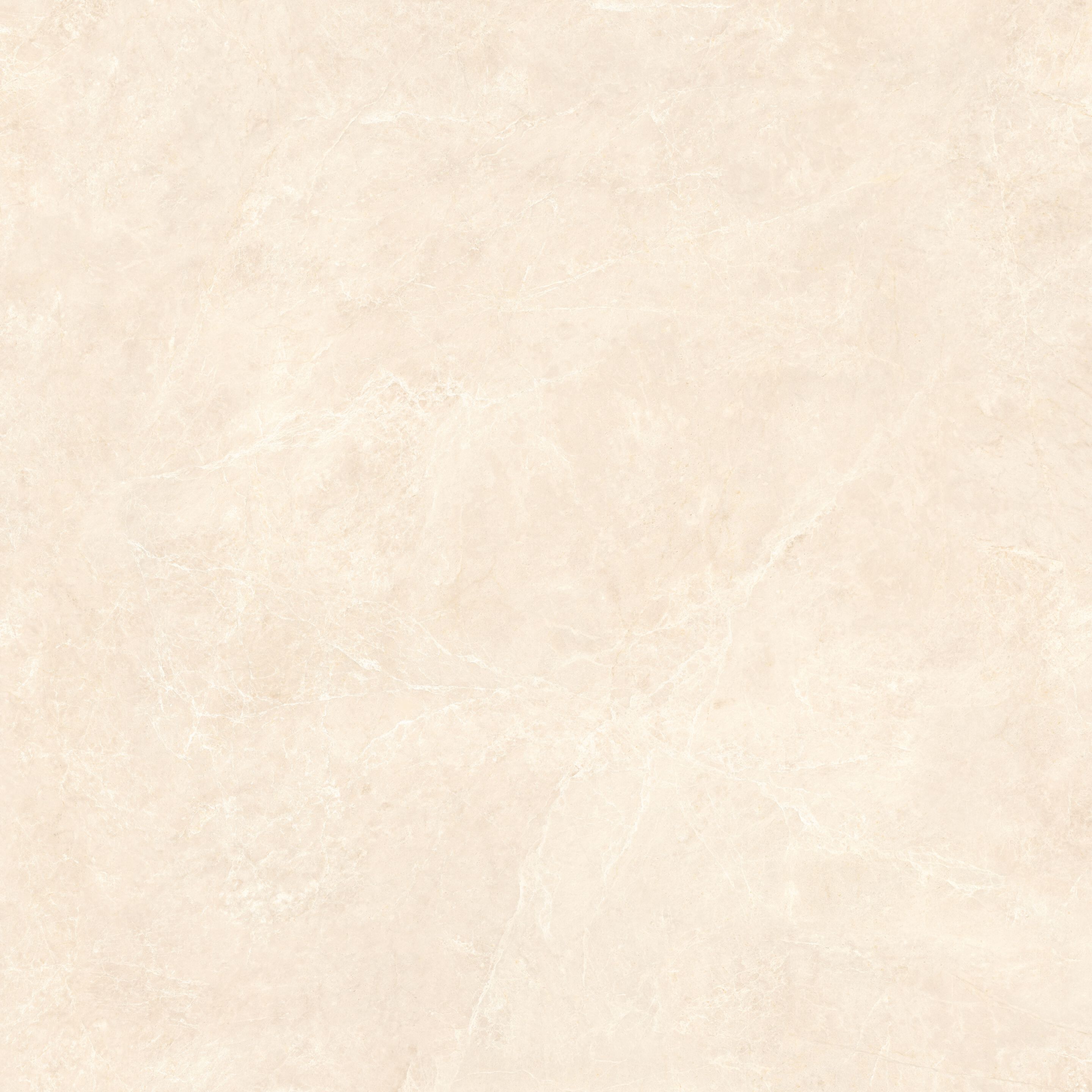 Пол / керамогранит с мраморным эффектом VitrA Bathrooms Nova Vita ARCH-00061955 - Вид №10