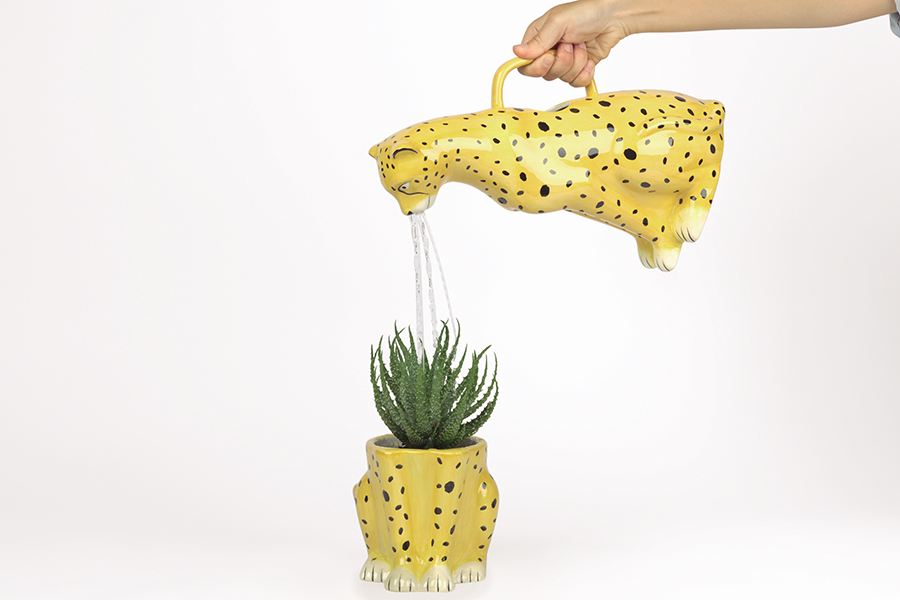 Лейка желто-черная керамическая Urban Jungle Cheetah DOIY  00-3871331 Желтый;черный  - Вид №5