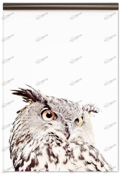 Groovy Magnets Магнитные обои Animal Mbp-127-o