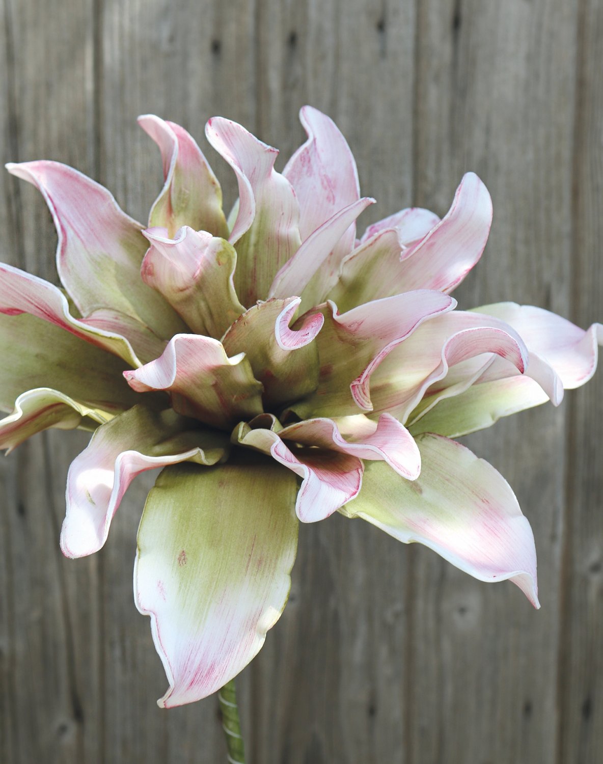 7898 508 a3 Искусственный протея мягкий цветок, 38 см, розово-зеленый H-andreas  - Вид №2