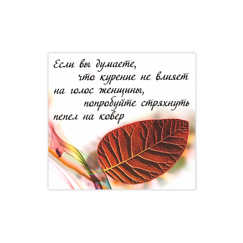 1008 Магнит ПВХ 8.5 x 5 см Если вы думаете… Santreyd 