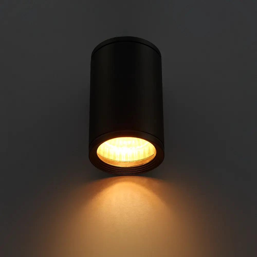 Светильник накладной Light 2101 IP65 1ХGU10Х10W, цвет черный Elektrostandard STLM-2148980 - Вид №1