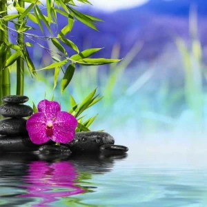 WP00261 Фотообои Verol Фотообои decoline 1х1 м