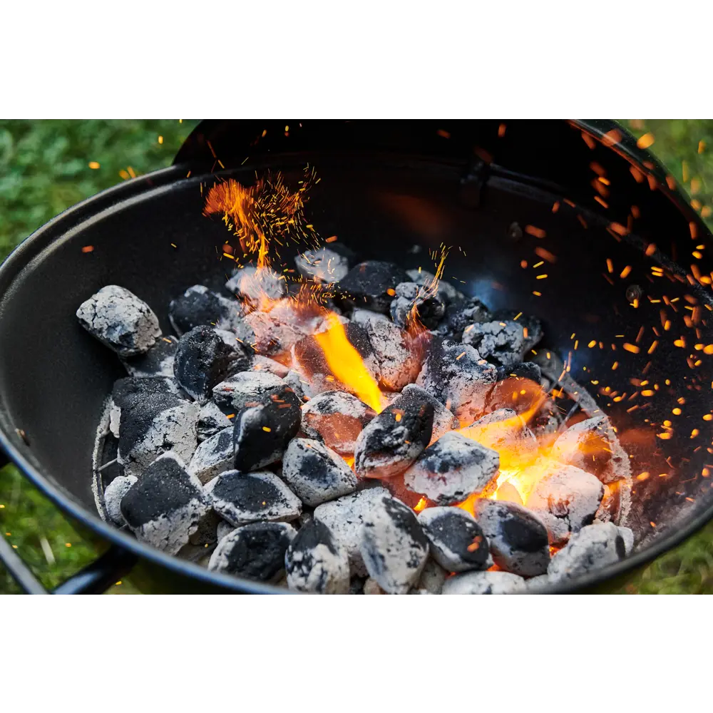 Уголь брикетированный Fire Wood 6 л 86514763 STLM-2180953 Santreyd  - Вид №9