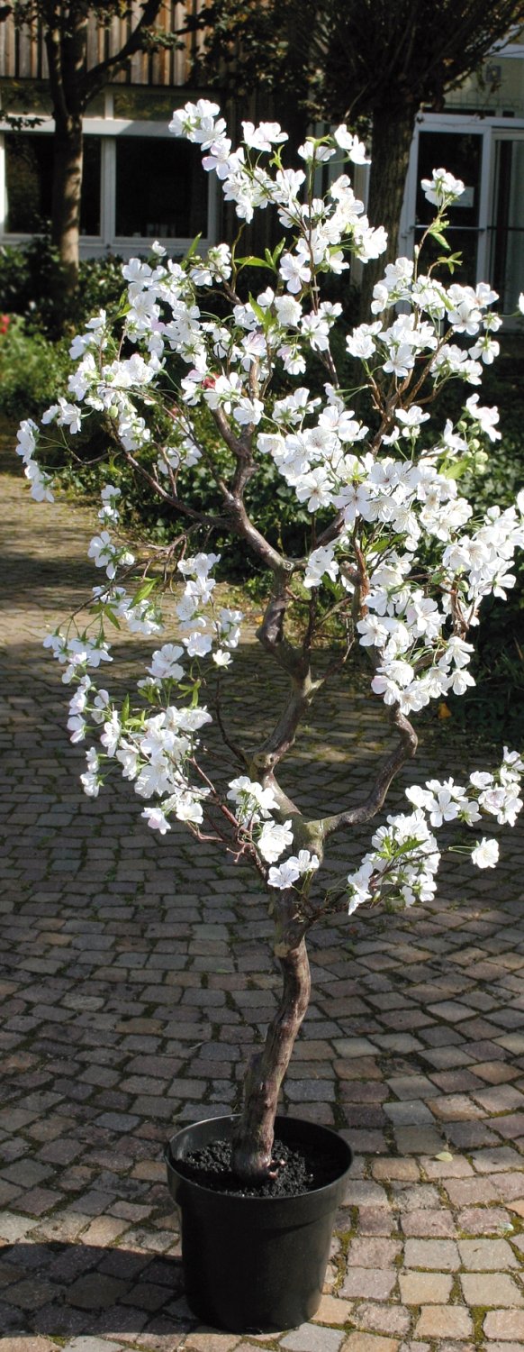 5501 778 a3 Пластиковая груша в горшке, 160 см, бежево-белая H-andreas 