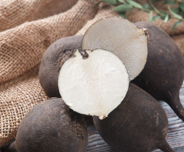 5416 Редька черная Вкусляндия  - Вид №1