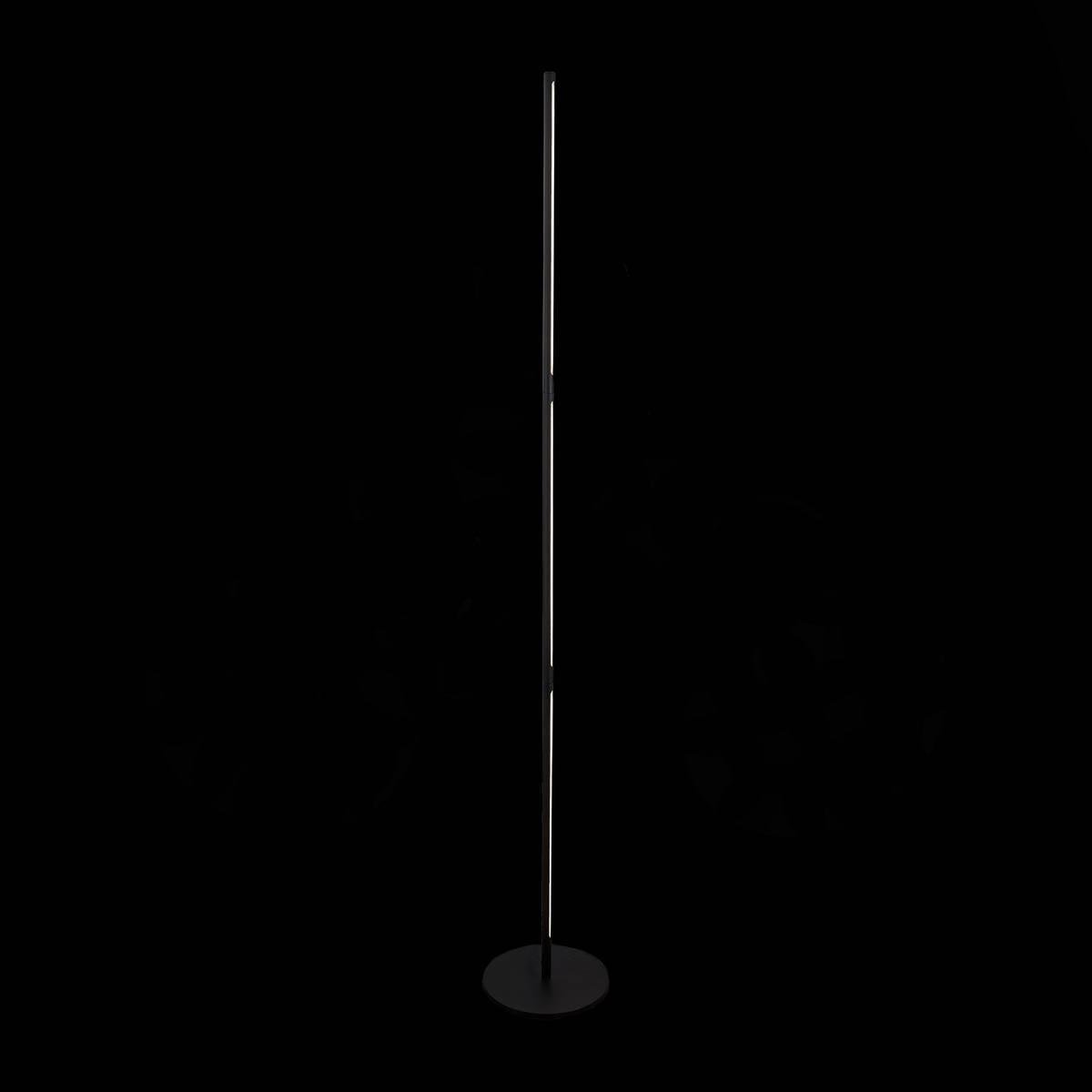 Торшер светодиодный черный Ralio SL1580.405.01 ST LUCE RALIO 00-3908901 Черный  - Вид №1