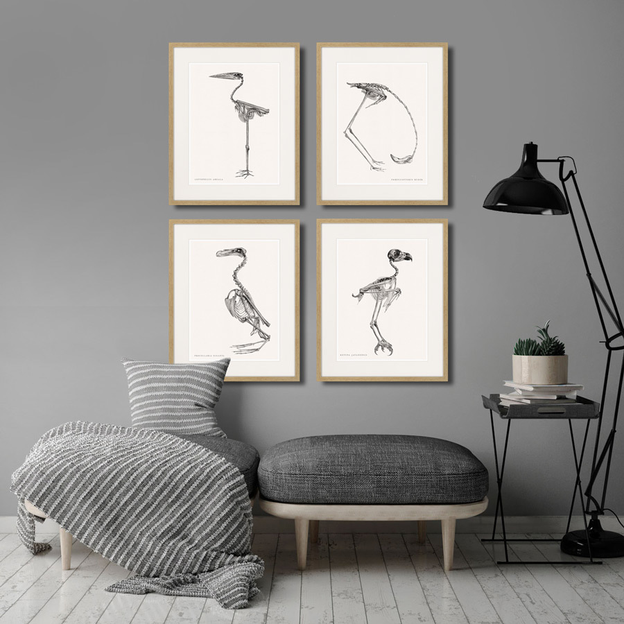 Картина в деревянной раме 52х42 см Leptophilus Argala, 1867г. КАРТИНЫ В КВАРТИРУ  264398 Белый;коричневый;разноцветный  - Вид №2