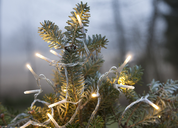 LU59300 Светодиодная герлянда Dekoraniaevents Navidad 