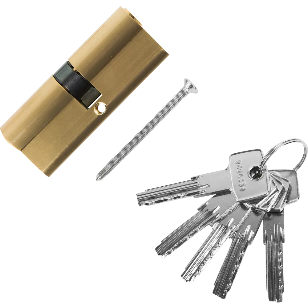 Цилиндр дверной Standers TTBL1-4040 с антивандальной защитой 82625300 STLM-0032182 - Вид №1