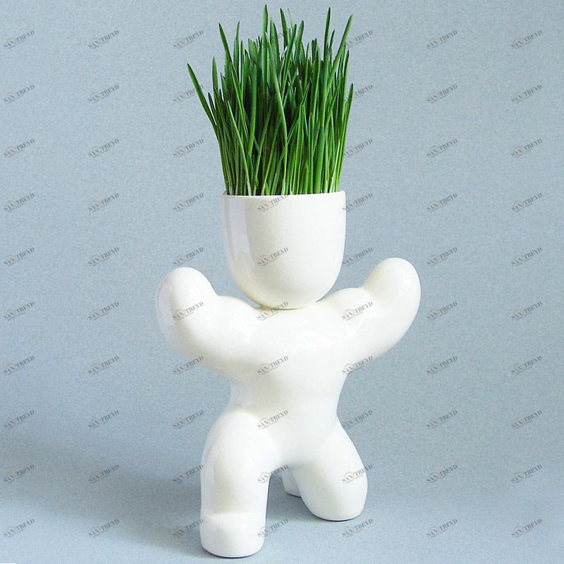 Набор для выращивания Eco Атлет ЭКОЧЕЛОВЕКИ 1005