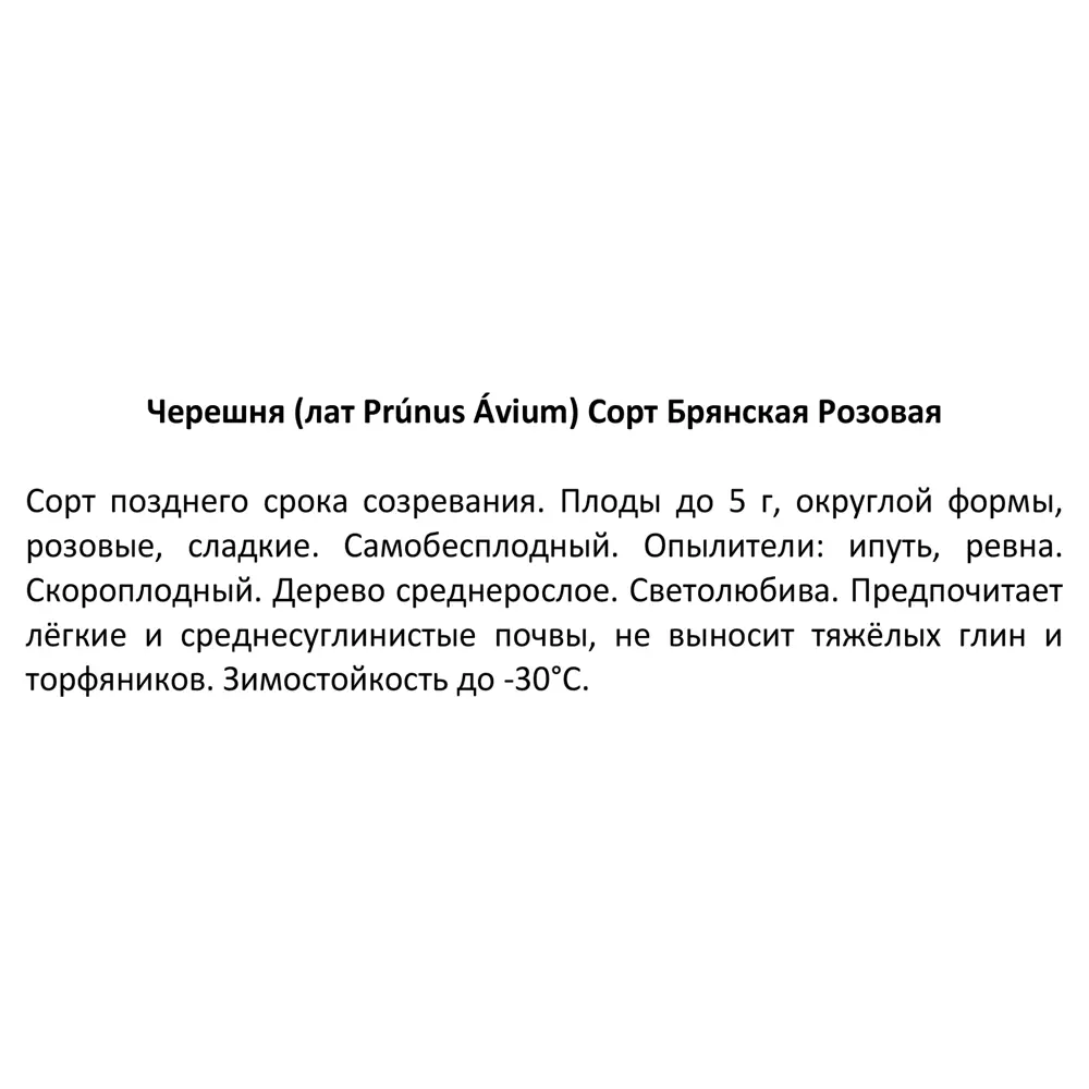 Черешня Брянская Розовая ø20 h140 см 85608206 STLM-2159948 Santreyd  - Вид №3