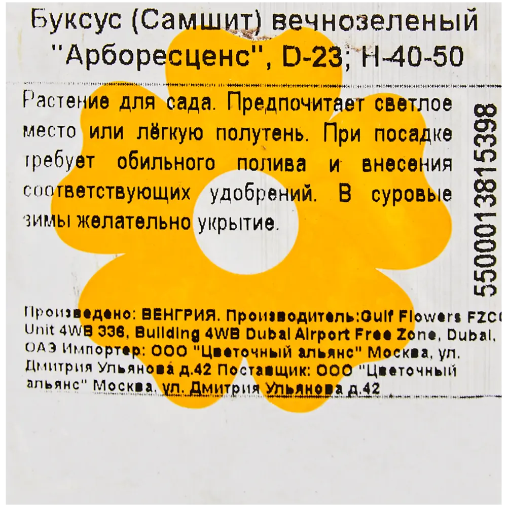 Буксус «Арборесценс» 23x40 см 82601596 STLM-2030844 Santreyd  - Вид №1