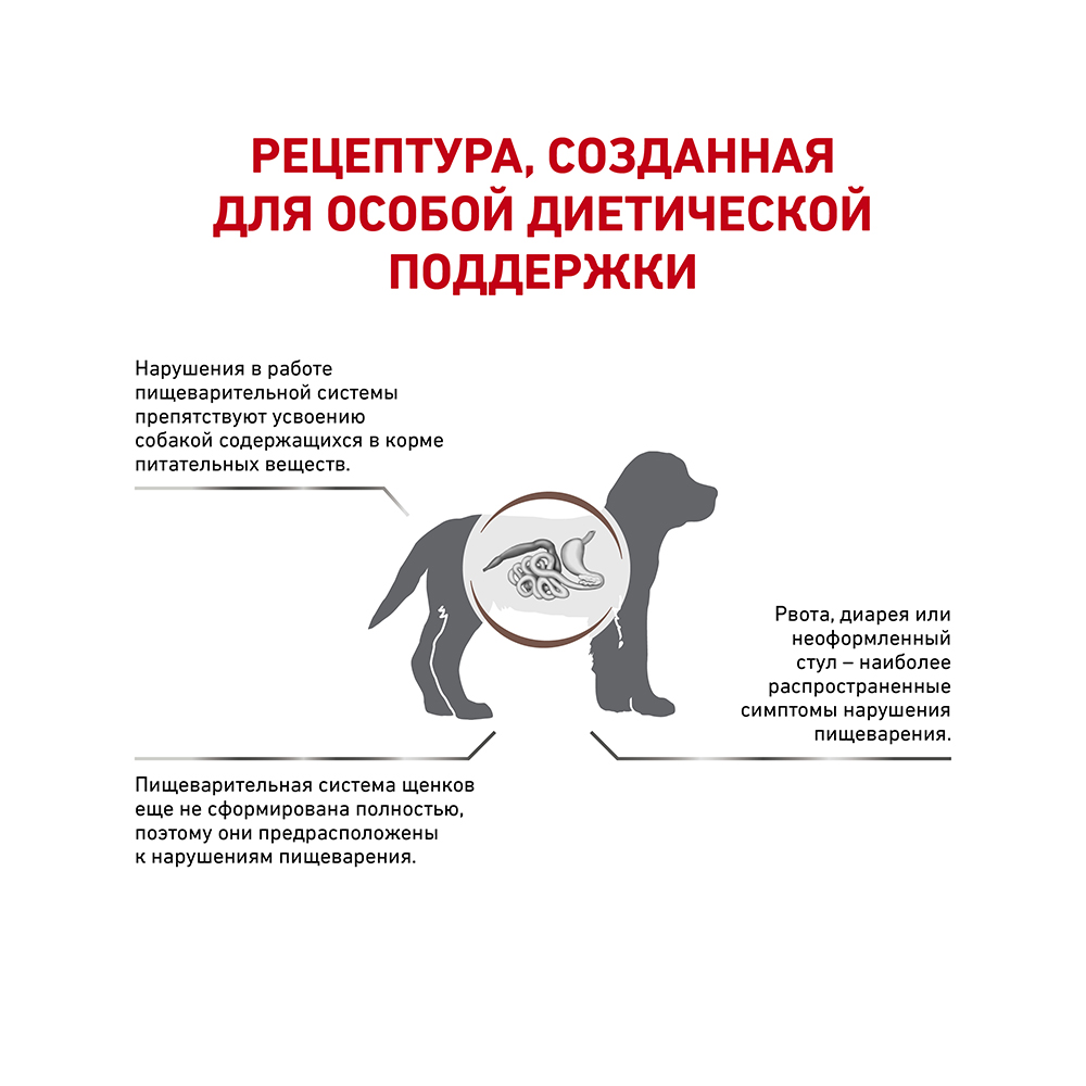 ПР0053520 Корм для щенков Vet Diet Gastro Intestinal Junior GIJ29 при нарушении пищеварения сух. 1кг ROYAL CANIN  - Вид №2