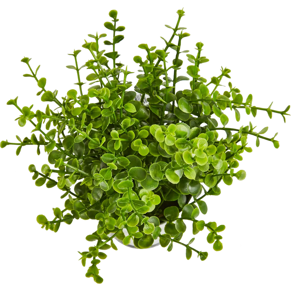 Искусственное растение в цинковом горшке Atmosphera D17x22 см микс 87051757 STLM-2188552  - Вид №7