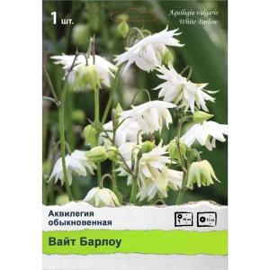 Многолетники Промо 89452319 STLM-2046450