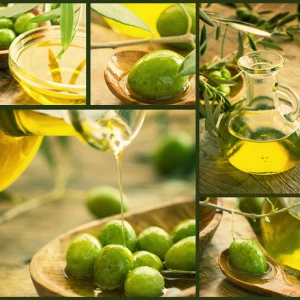 B1-037 Фотообои DIVINO Collection B 2.7х3 м