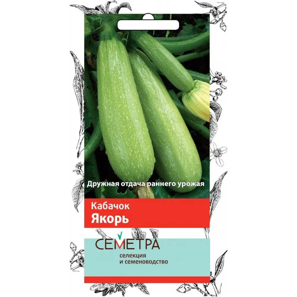 Семена Кабачок «Якорь» 83147285 STLM-2159467 ПОИСК 