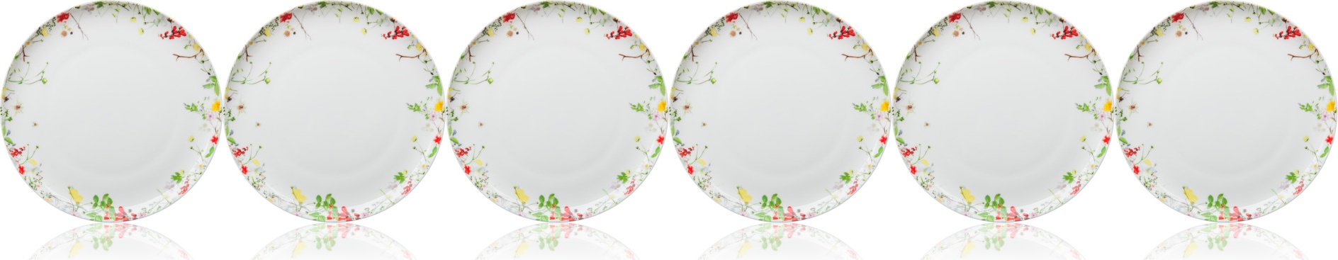 10645668 Rosenthal Набор тарелок закусочных Rosenthal Дикие цветы 21см, фарфор, 6шт Фарфор 