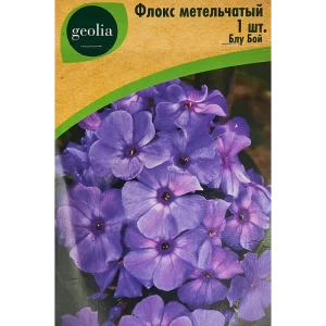Флокс метельчатый Блу Бой 86408675 STLM-2163013