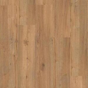 Виниловый ламинат Tarkett Dream House Robert Дуб с брашью (Текстурированная) 1220х183 мм.