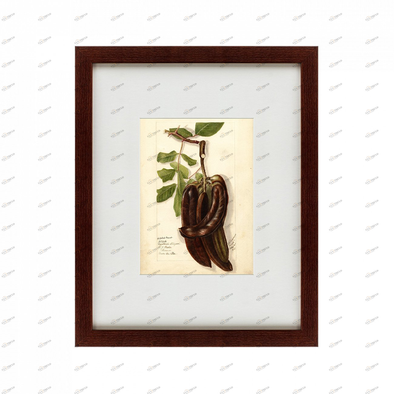 Картина: Watercolor collection, drawing №77, 1907 КАРТИНЫ В КВАРТИРУ  135753 Разноцветный 