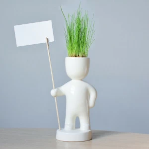 Набор для выращивания eco "Знаменосец" ЭКОЧЕЛОВЕКИ  254608 Белый