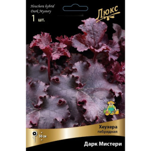 Гейхера гибридная Дарк Мистери луковица I