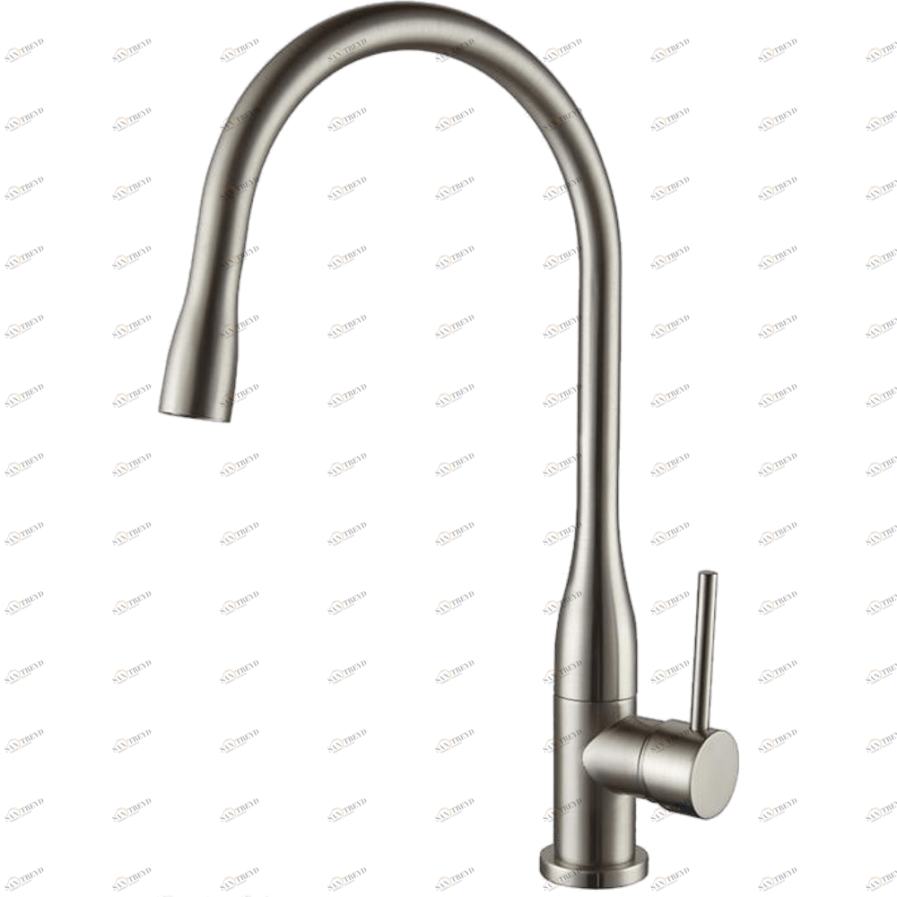 GZ 16035G Смеситель для кухни Ganzer Сатин Ganzer Германия 14009