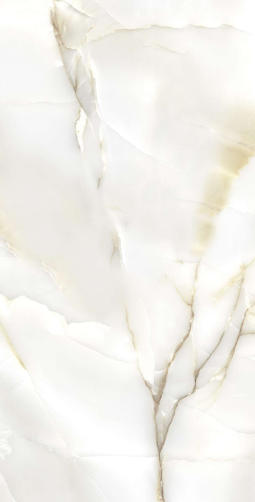 Ониксовый Шёпот: Керамогранит для Вдохновения FP1003-A Arcadia Ceramica PRIMO - Вид №4