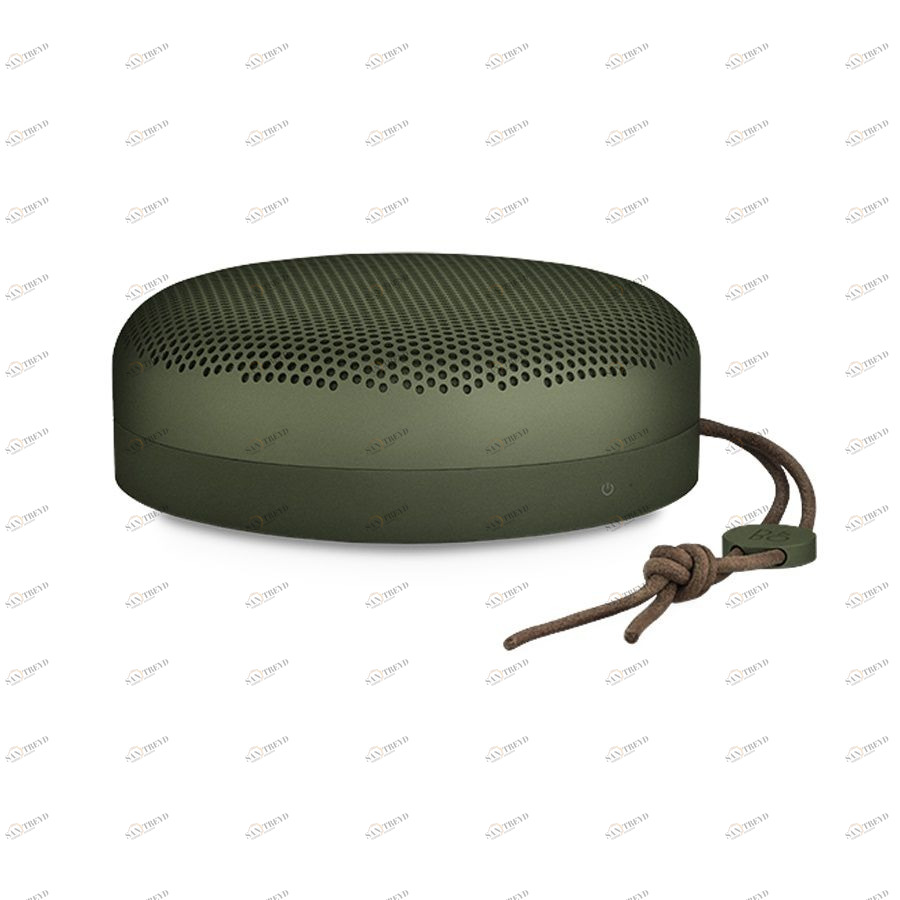 Акустика портативная BeoPlay A1, зеленая Bang & Olufsen 1297862