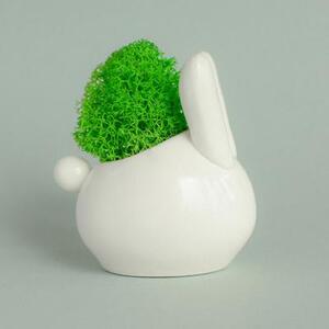 Набор для выращивания Eco "Зайчик"