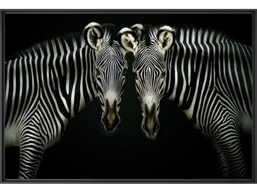 Печать фотографий на бумаге YellowKorner животное ARCH-00092055