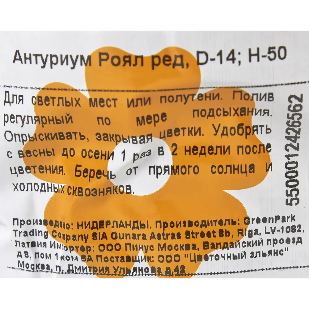 Антуриум Роял Ред 14x50 см 82399767 STLM-2072680 Santreyd  - Вид №2