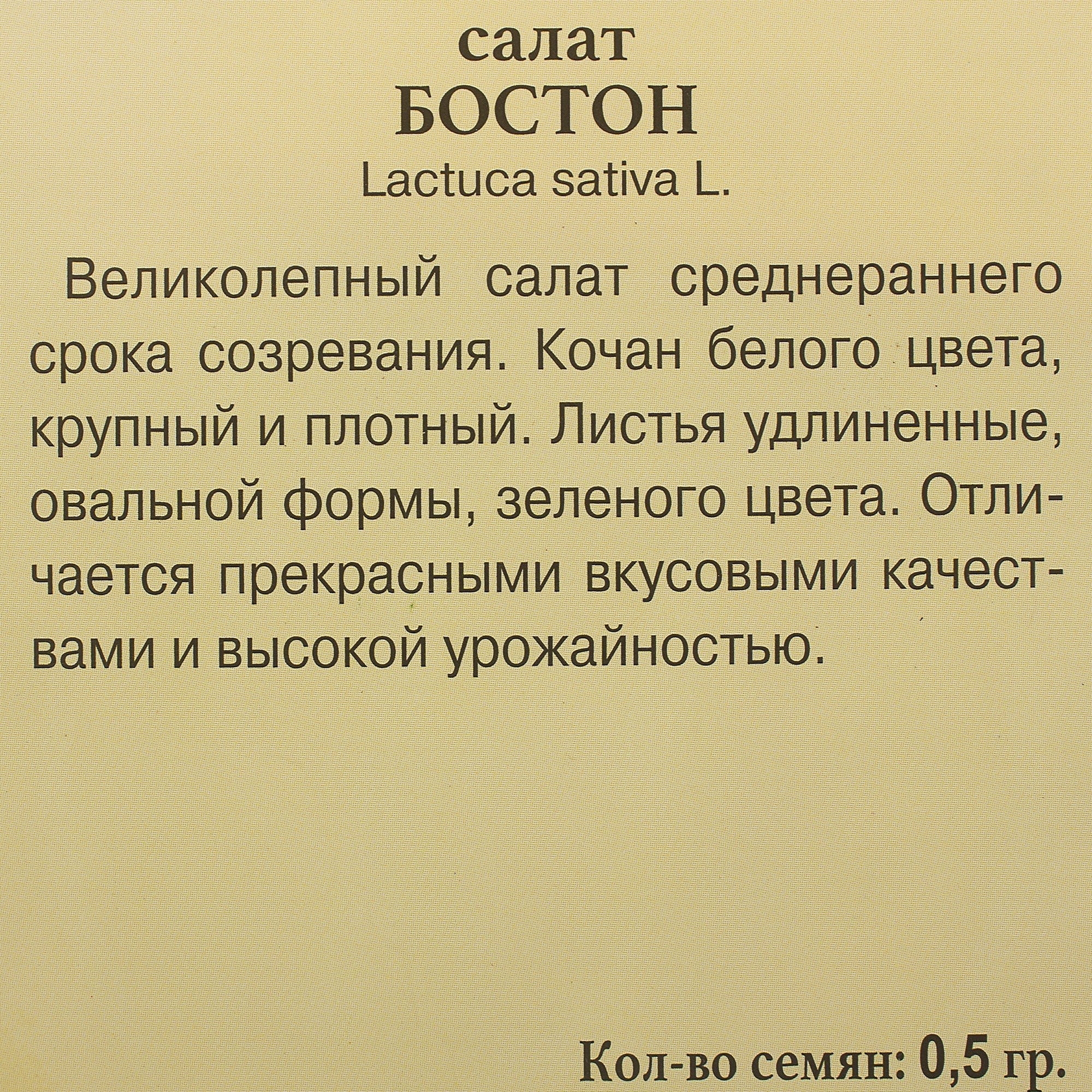 81931649 Семена Салат «Бостон» Santreyd  - Вид №2