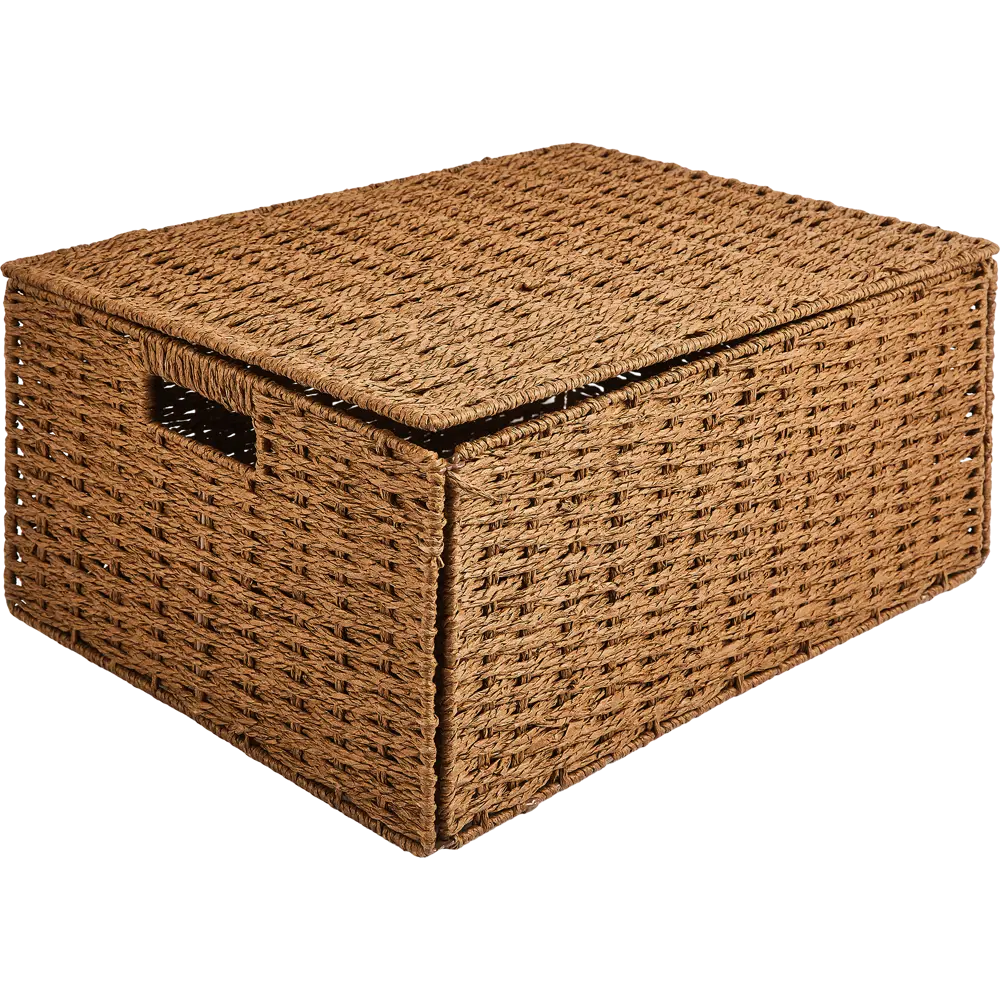 Корзина с крышкой для хранения 45x21x33 см бумага цвет коричневый 89344345 STLM-2003506 SPACEO Kub - Вид №1