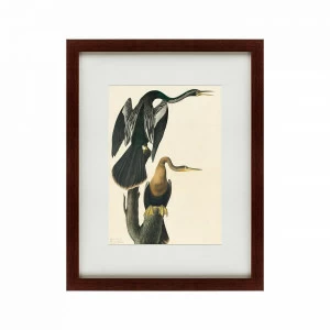 Картина в раме 60х47 см "Американская змеешейка, 1822 г" КАРТИНЫ В КВАРТИРУ  135773 Серый