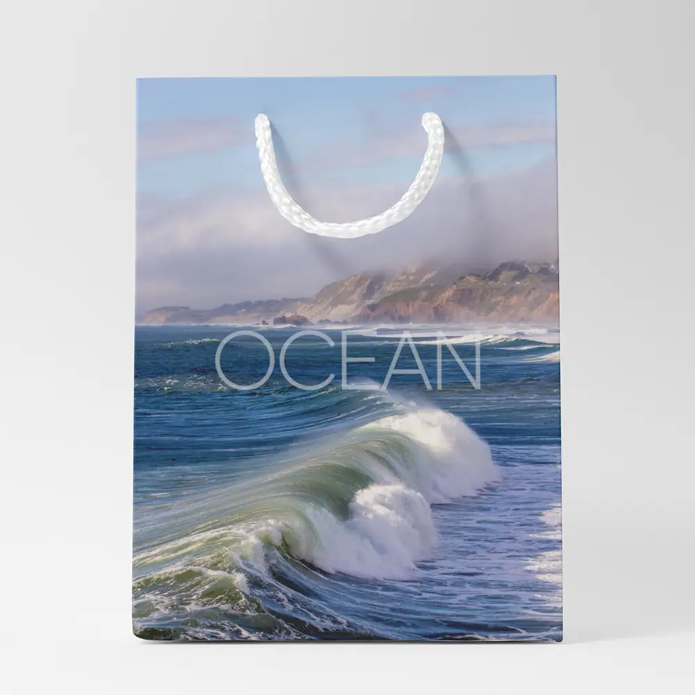 Пакет подарочный Симфония Ocean 30x21x14 см цвет разноцветный STLM-2052179