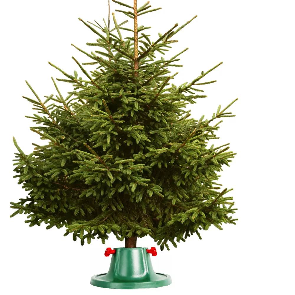 Santreyd Подставка для новогодней ели - надежная фиксация праздничного дерева 15471420 STLM-0955559 - Вид №4