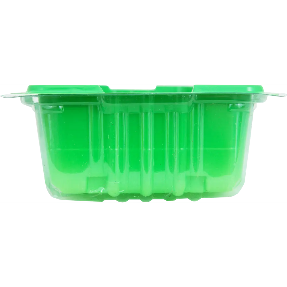 Santreyd Мини-парник для рассады с прозрачной крышкой 18436099 STLM-0010784 - Вид №2