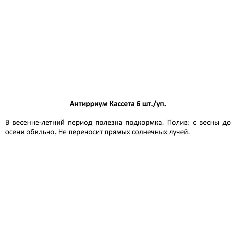 Рассада Антиринум h15 см, 6 шт. 83248298 STLM-2186379 Santreyd  - Вид №2