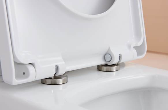 CT2046 Напольный унитаз SSWW CT  - Вид №2