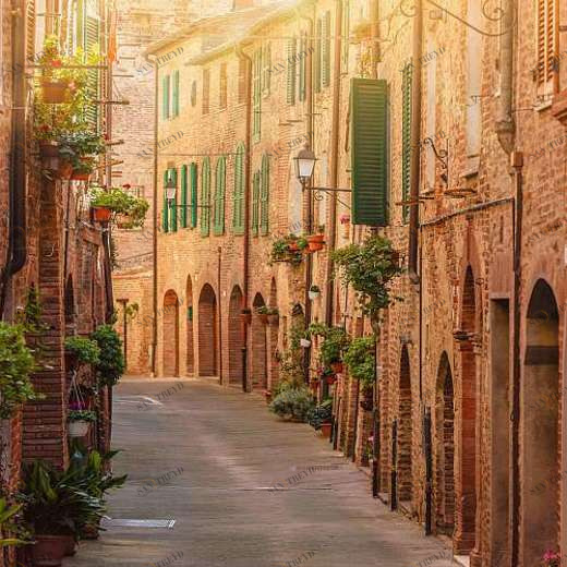 L-115 Фотообои DIVINO L&P 2х2.7 м L115