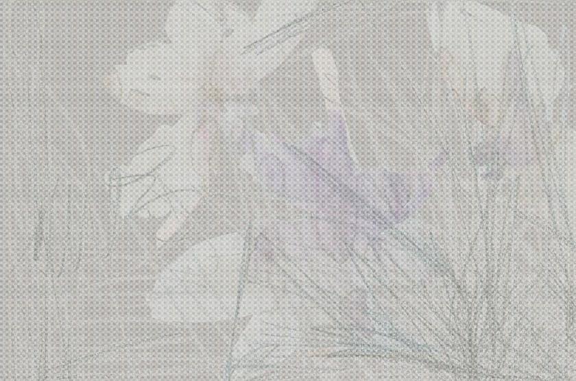 Tecnografica Водонепроницаемые обои с цифровой печатью и цветочными мотивами I decorativi 56601 - Вид №1