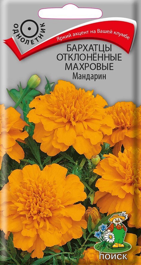 Семена бархатцев махровых Мандарин Santreyd - яркие цветы для клумб и вазонов 86217915 STLM-0066907