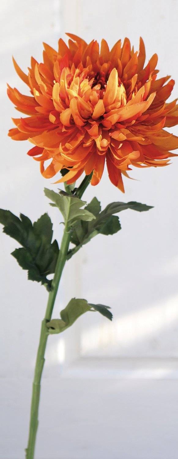 3411 334 a3 Пластиковая хризантема, 62 см, оранжевая H-andreas  - Вид №2