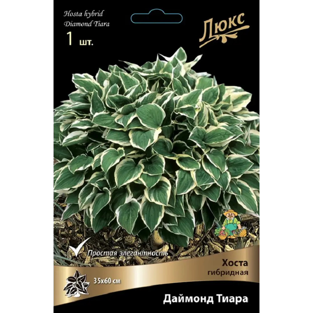 Хоста гибридная Даймонд Тиара 89452356 STLM-2165066 ПОИСК 
