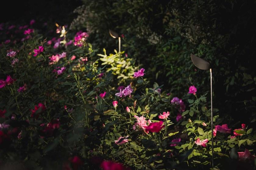 Olev Светодиодная уличная лампа sun-id-1509141 - Вид №3