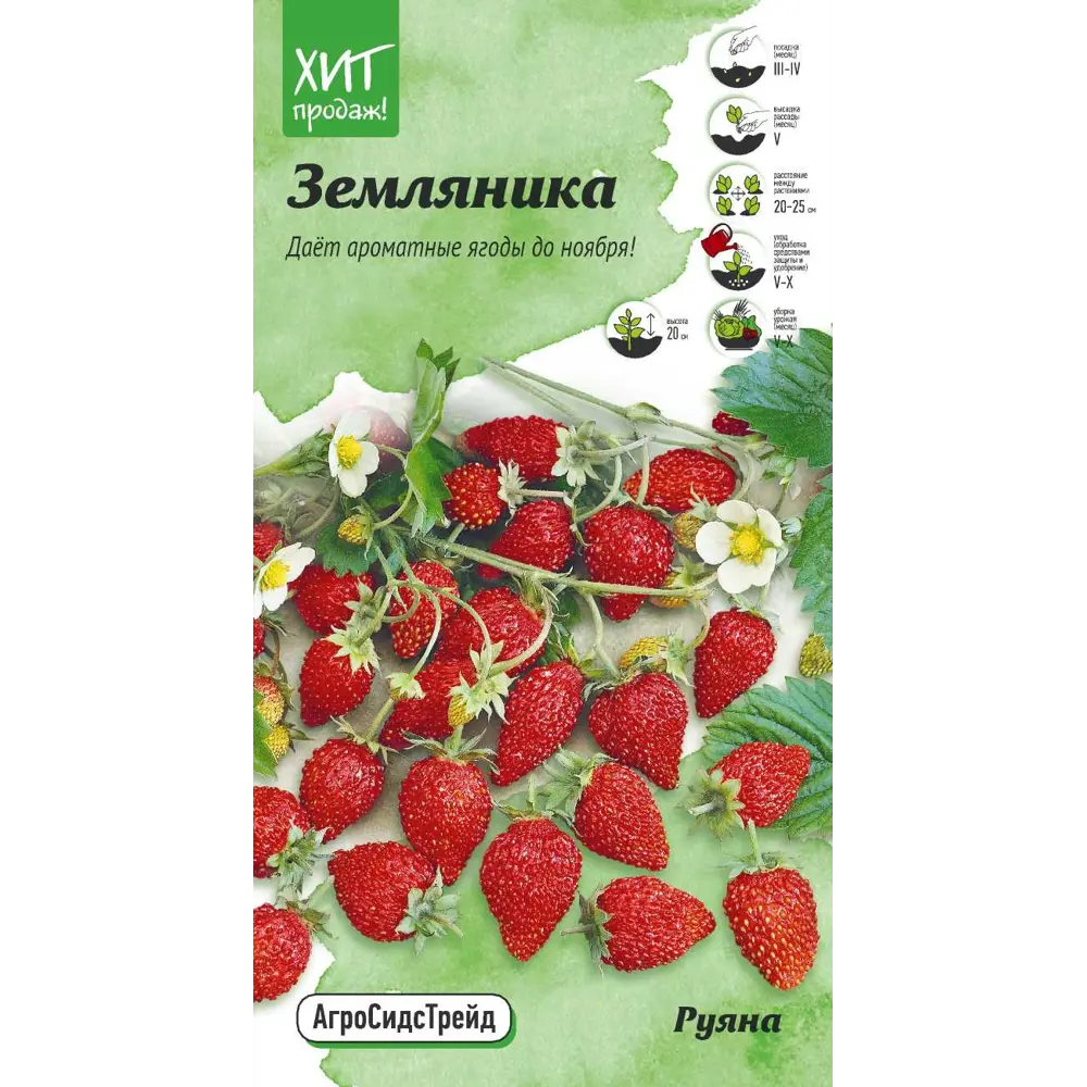 Семена ягод Агросидстрейд земляника Руяна 89348033 STLM-2094343 Santreyd 