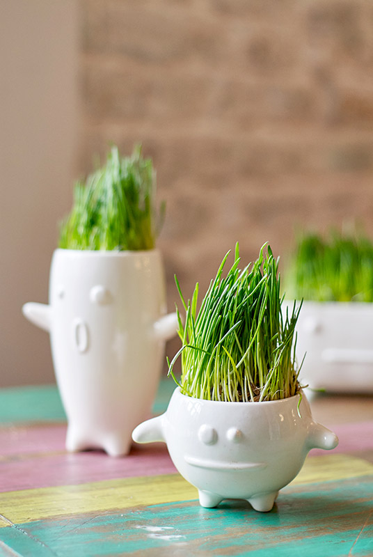 Набор для выращивания eco "Кру" ЭКОЧЕЛОВЕКИ  254572 Белый  - Вид №2